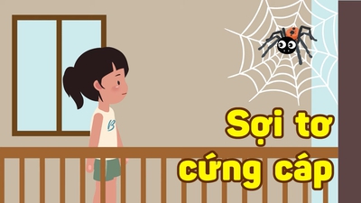 SỢI TƠ CỨNG CÁP